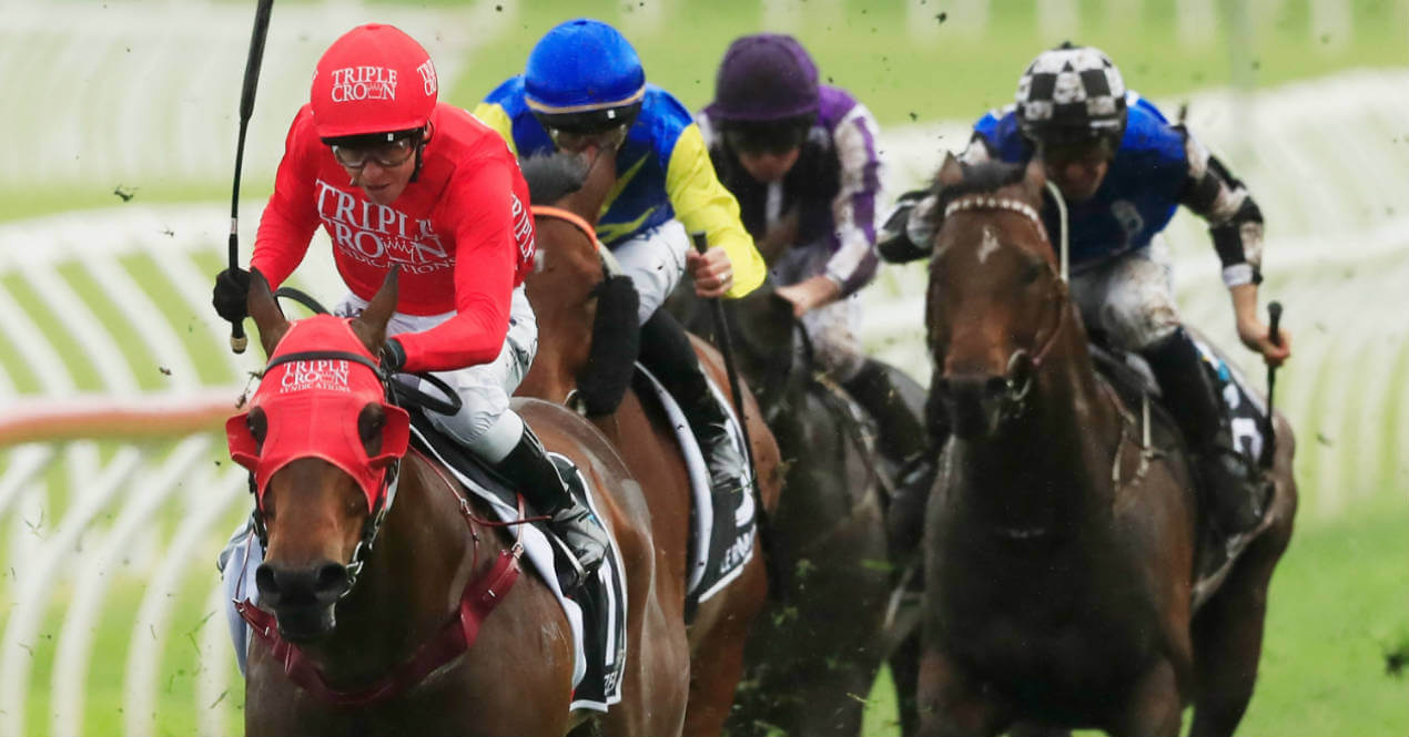 Redzel The everest October 13 2018